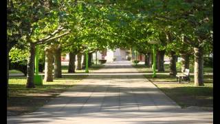 Partido de San Cayetano - Buenos Aires