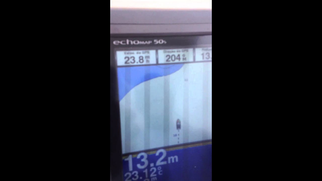 Real 265 Mercruiser 4.3 220hp gasolina.