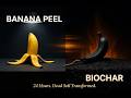 Banana Peel Biochar...- The 24 Hour Soil Hack That Transforms Dead Dirt FAST