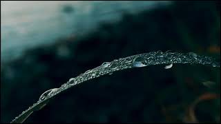 KASAMEA - NAPABALE - NOPEIA KARANDU MOLULO (segara musicworks rearrange)