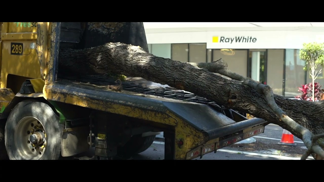 Vermeer WC2300XL Whole Tree Chipper