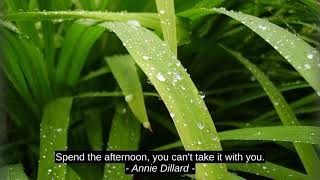 Lorri Faye Top Motivation Cites