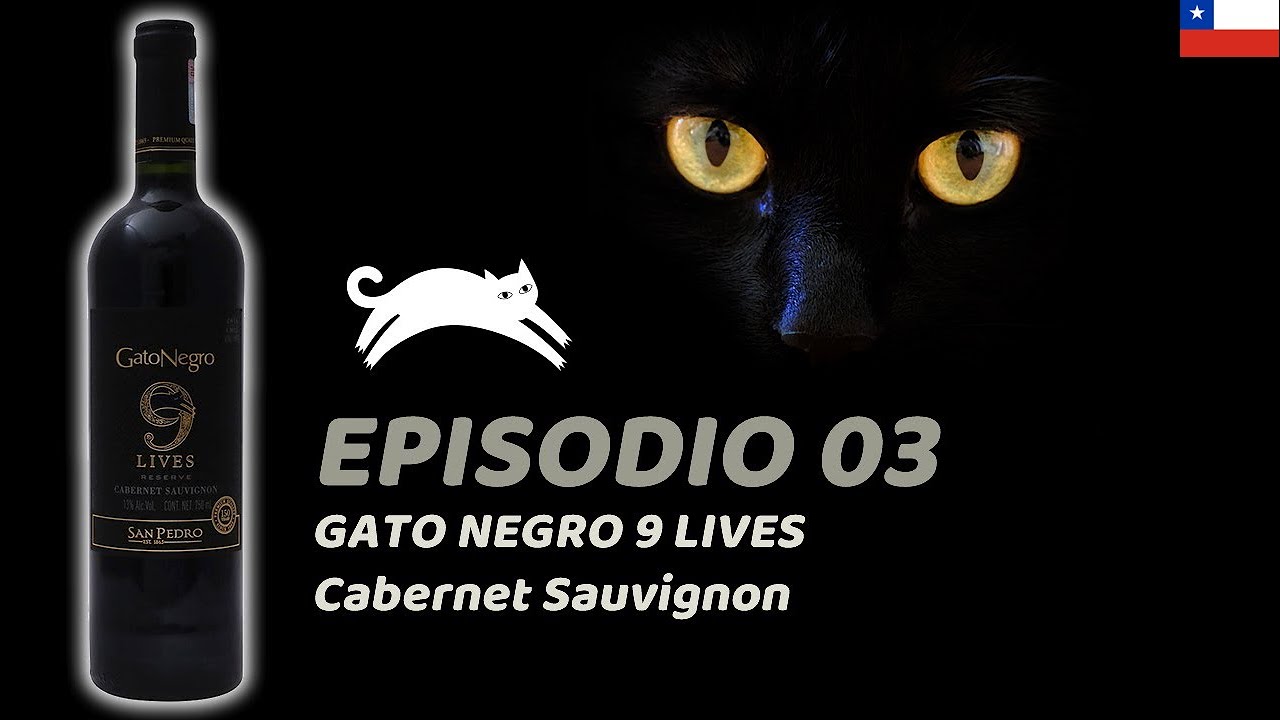 Gato Negro 9 Lives | Cabernet Sauvignon | Viña San Pedro