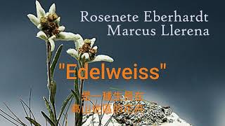 電影真善美的Edelweiss是啥，你可知否  EP2