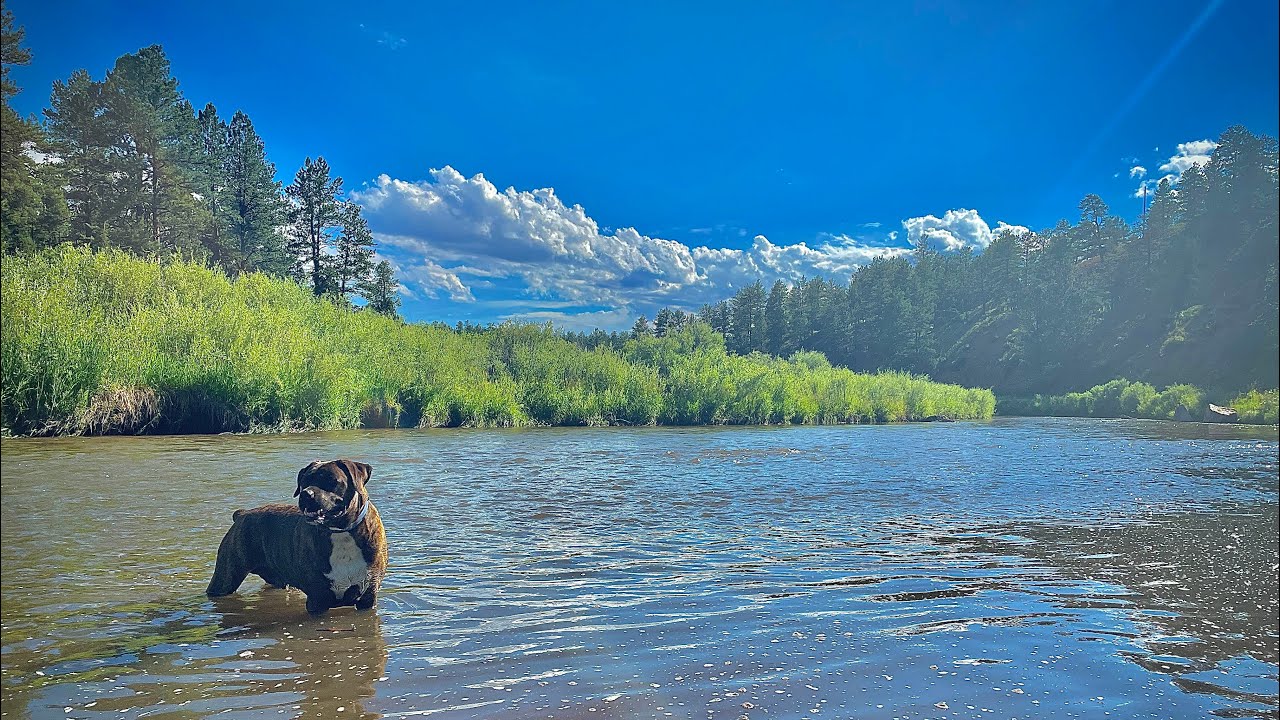 PLATTE River near Deckers Colorado YouTube