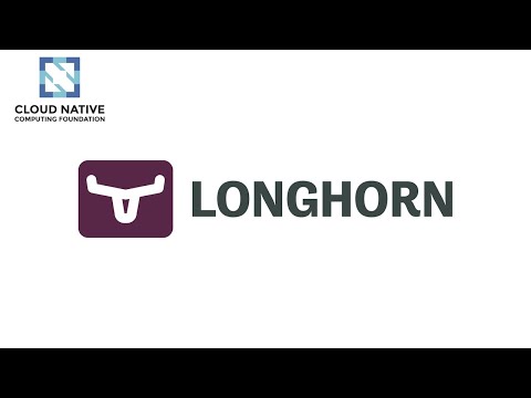 Vidéo: C'est pas les longhorns ?