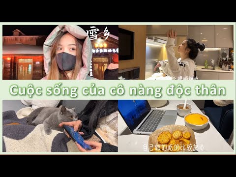 Video Vietsub ~ Cuộc sống của cô nàng độc thân Ngô Mộng Phi... - youtube