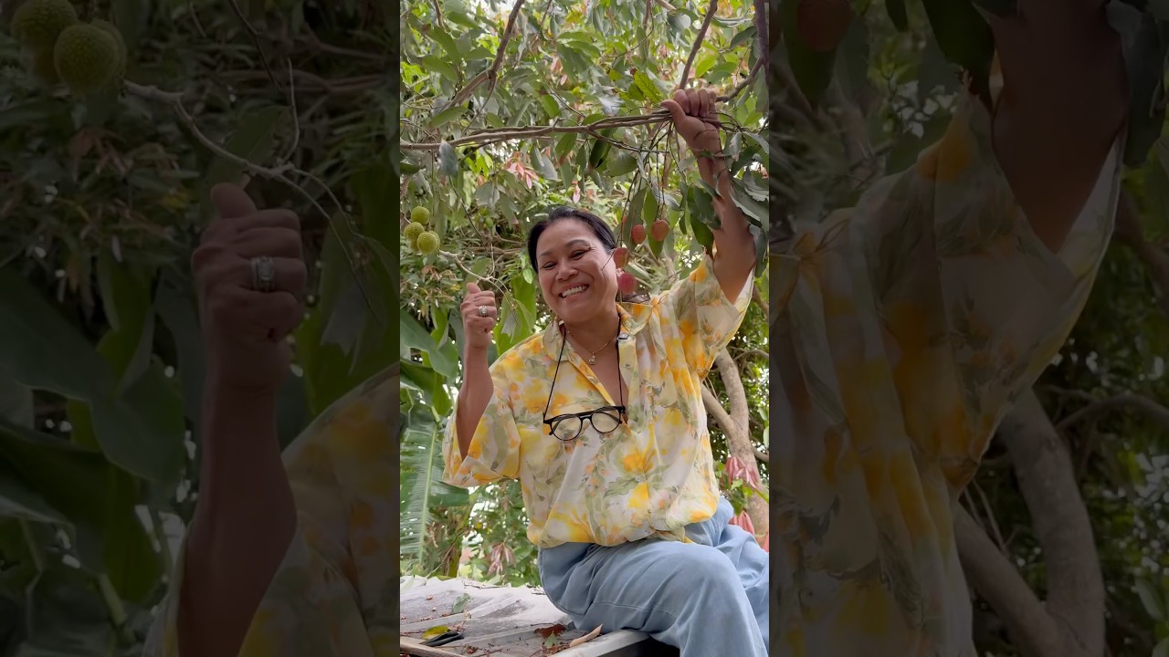 Having a great time harvesting fresh lychee with mom! 