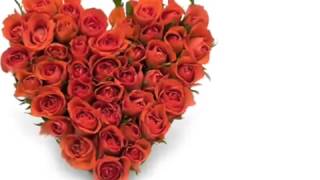 Tofiq Bayramov Qadin Ureyi