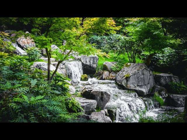 RELAXING MUSIC- RELAXING MEDITATION FOR STRESS ANXIETY SLEEP STUDY YOGA #MEDIATION #NATUREVIDEO class=