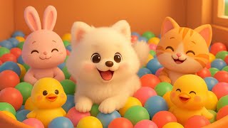 Download Lagu Bangwoolie's Ball Pit Party!🦮 "Cute Dog Nursery Rhymes🐶”Fun Hindi Rhymes with Cute Puppy! Download Lagu Bangwoolie's Ball Pit Party!🦮 "Cute Dog Nursery Rhymes🐶”Fun Hindi Rhymes with Cute Puppy!