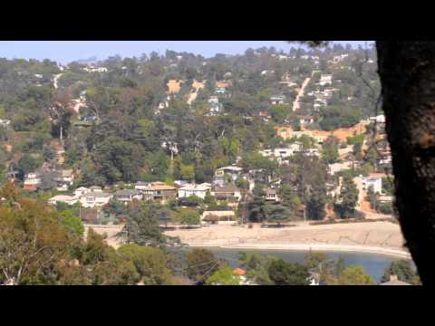 Discover L.A.'s Neighborhoods: Silver Lake