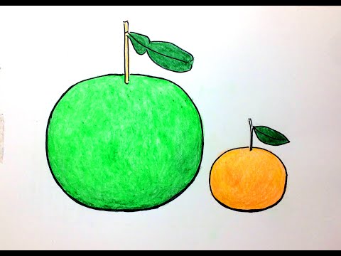 Video Vẽ quả Bưởi, quả Cam- Trái cây bốn mùa- Mĩ thuật lớp 3 - youtube