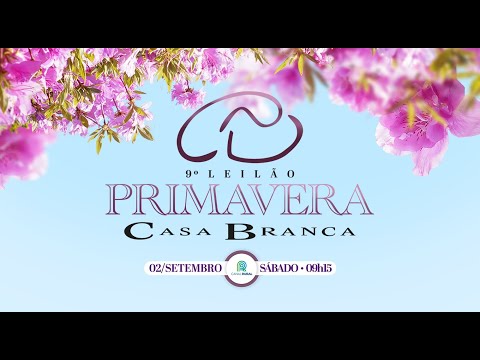 Lote 105 (PWM Dash 3392 Textbook - TEICB 3392)