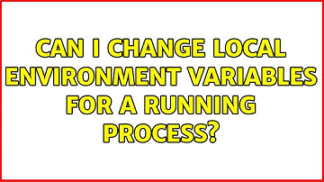 Can I change local environment variables for a running process?