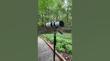 YES, THE SIRUI SVM-145P WILL HOLD YOUR BIGGEST LENS #sirui #siruisvm #monopod #sony200600