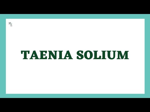 Taenia solium Lifecycle | Pork Tapeworm | Cestodes| Taeniasis and Cysticercosis | MEDZUKHRUF