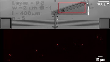 Measuring Nanoscale Motion Transfer Through Microscale Machine Video Download