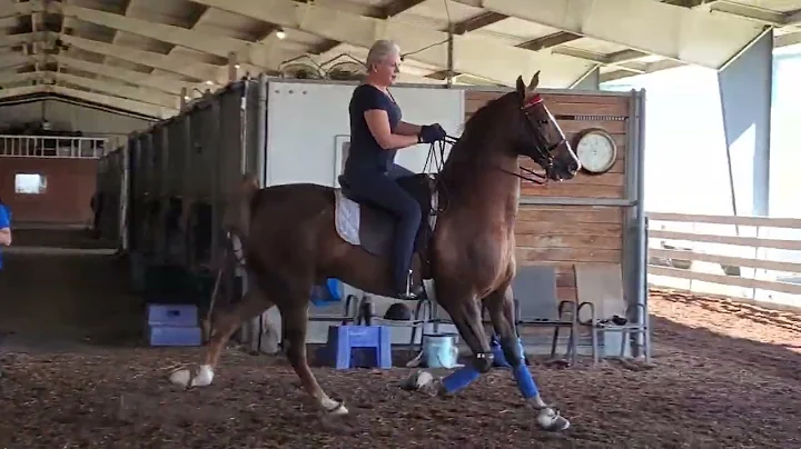 Teddy and me before Ocala