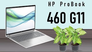 HP ProBook 460 G11 NoteBook (new laptop 2024) Full Review !