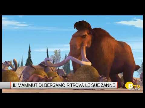 Video: Zanna di mammut: estrazione di zanne di mammut, prodotti di zanne di mammut