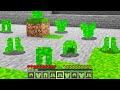 Minecraft BUT Grass Blocks Now Drop Grass Armor...