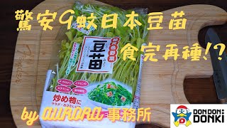 【驚安之殿堂$9日本豆苗】永續豆苗大法 ~《AURORA事務所》~