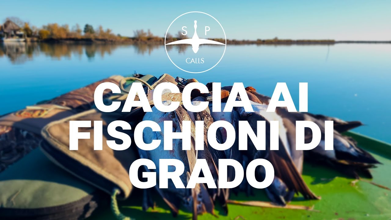 A CACCIA DI FISCHIONI A GRADO  