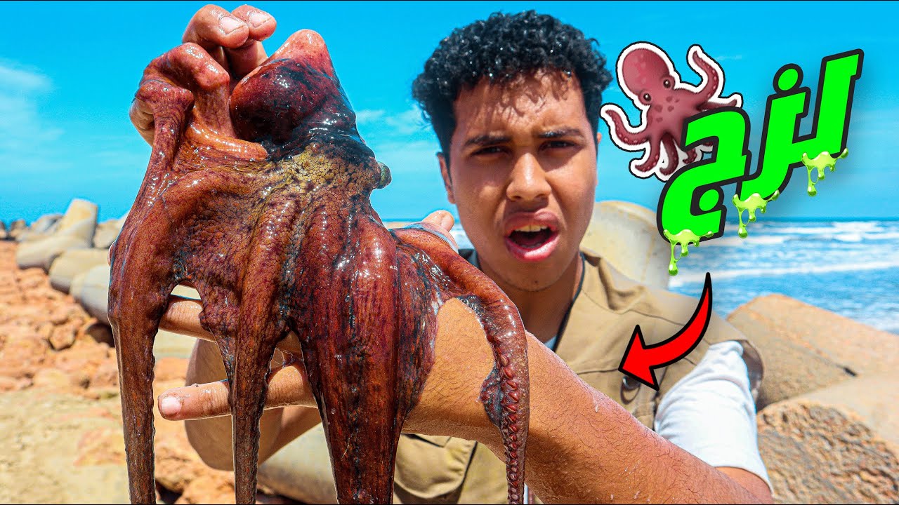 رحلة البحث عن المخلوقات البحرية الغريبة🐙