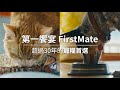 第一饗宴 放牧羊 燕麥全犬11.4kg FirstMate WDJ 單一蛋白 狗飼料 product youtube thumbnail