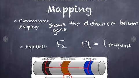 Inheritance Patterns and Human Genetics