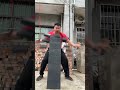 partidos en dos