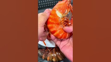 Mời mọi người ăn tôm sú nhen ❤️| MINOS .COM.VN #minos #hảisảnminos #seafood #minos2