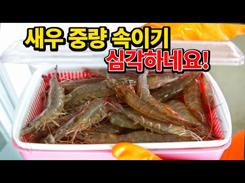 대하, 활새우 먹기 전에 꼭 알아야 할 사실들(김지민의 자산어보 EP. 007)