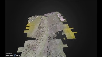 Drones and Butterflies - UKBMS 40th