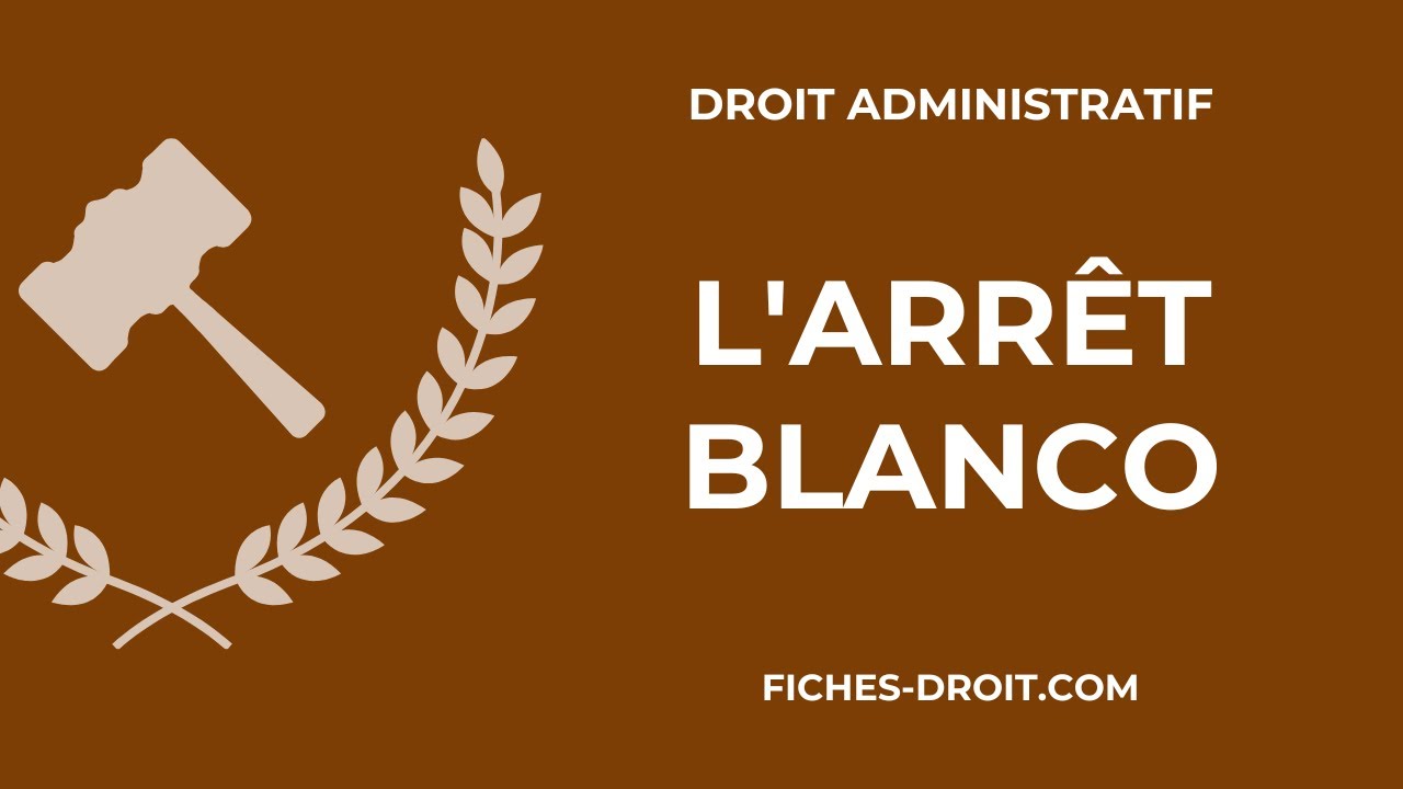 L'arrêt Blanco du 8 février 1873