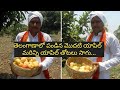 Telangana first Apple- CM KCR to taste it!