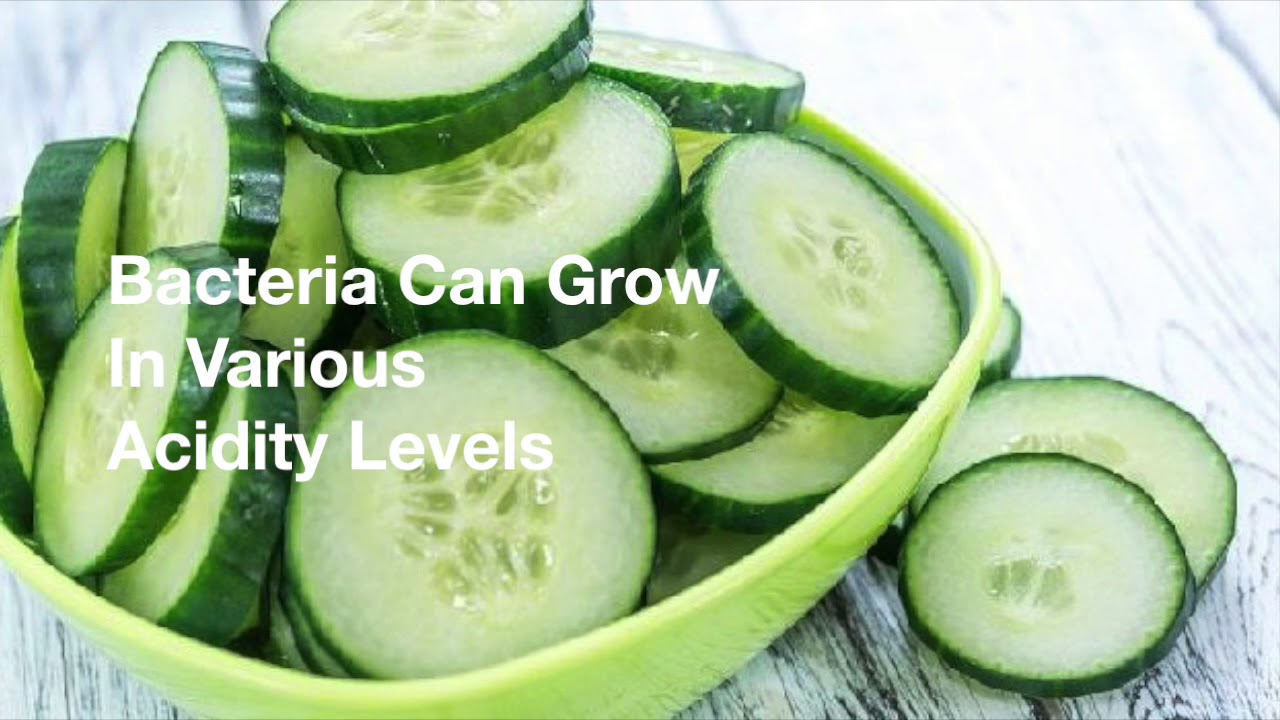 What 4 Things Does Bacteria Need To Grow