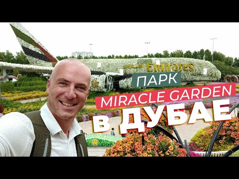 Видео: Парк Miracle Garden в Дубае