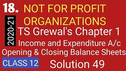 18. NPO: NOT FOR PROFIT ORGANIZATIONS: TS Grewal