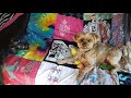 DIY T-Shirt Blanket | No Sewing Experience + Mini Sewing Machine Lesson (Great Christmas Gift Idea)