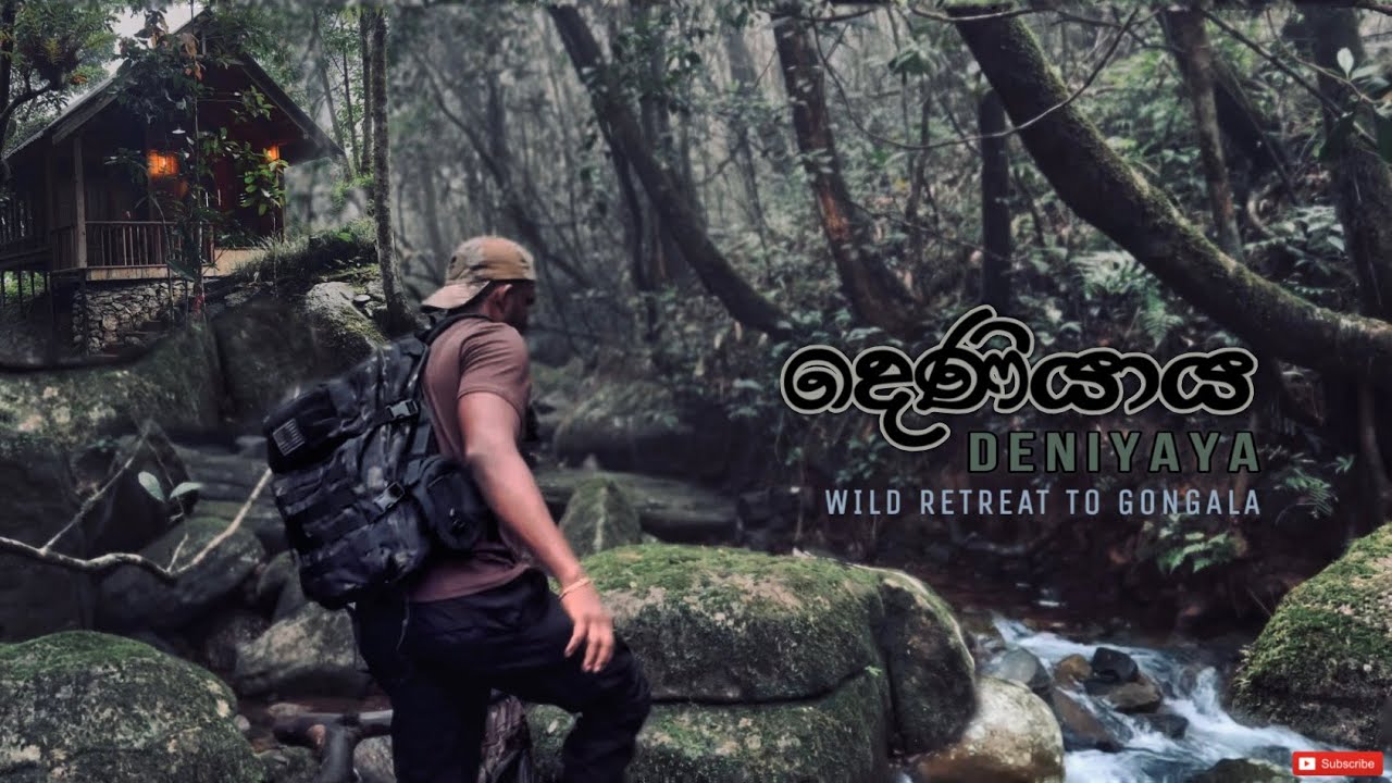 Deniyaya | දෙණියාය | Forest Retreat to Gongala | දිය ඇලි පිරුණු පාරාදීසයක ඇති ලී මාලිගය | 