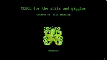 COBOL for the sh*ts and giggles - Chapter 5: File handling