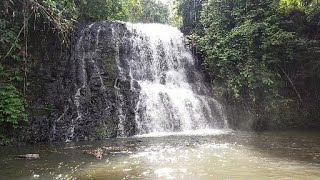 Download Lagu Wisata jantur Dora di Kutai Barat MP3