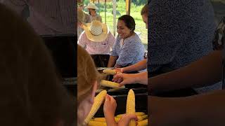 CORN HARVEST