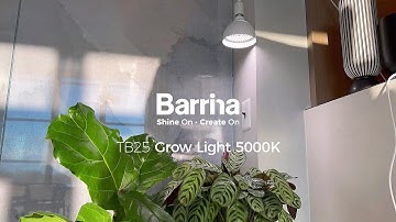 Barrina LED Grow Light Bulb with Timing and Hanging System #barrina #tb25 #barrinagrowlight