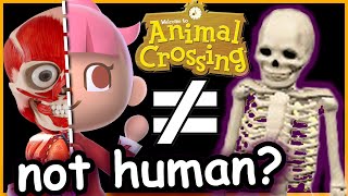 animal crossing mysteries that ARE STILL unanswered...