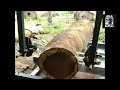 Village Saw Mill Timber Cutting Process \\ Woodworking \\ Horizontal Trolley Bandsaw 2022
