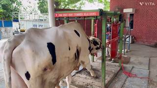 Verka Simon Bank Khanna, Ram Singh HOOf Trimmer Kila Hans 20-6-2026) 9814782933,9815552933