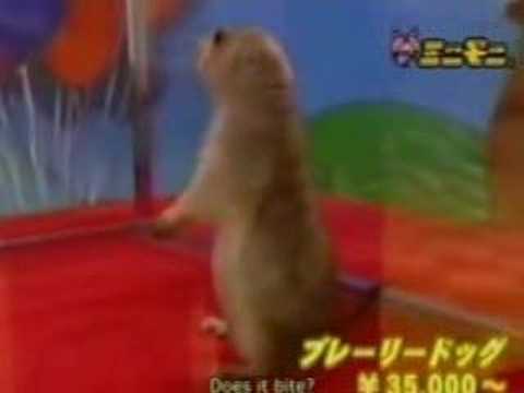 Dramatic Chipmunk Kill Bill Style